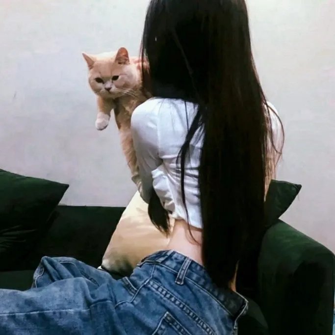 战鼎第三季